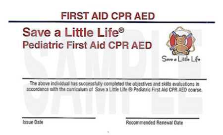 PEDIATRIC CPR AND FIRST AID COMPREHENSIVE – Save a Little Life