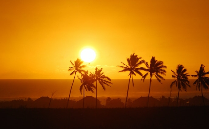 Shows an orange sky with a bright white sun and there are palm trees in the foreground